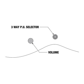 IBANEZ RGD3121-PRF Polar Lights Flat with Case IBANEZ RGD3121-PRF Polar Lights Flat with Case Фото 7