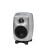 GENELEC G2BRwM Speaker G Two RAW Фото 2