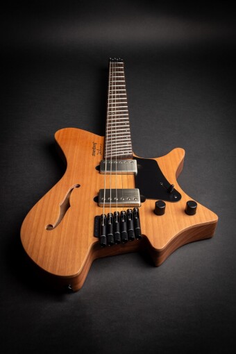 Strandberg Sälen Jazz NX 6 Black Фото 8
