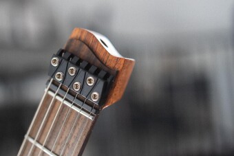 Strandberg Sälen Jazz NX 6 Black Фото 2