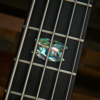 Spector Euro5 CST Natural Фото 4