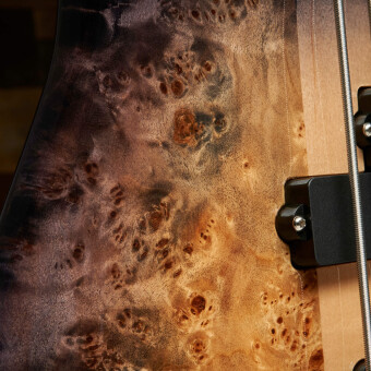 Spector Euro5 CST Natural Фото 5