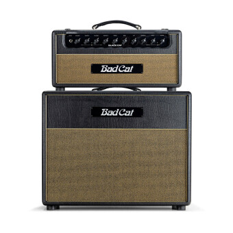 Bad Cat Black Cat Head Фото 2