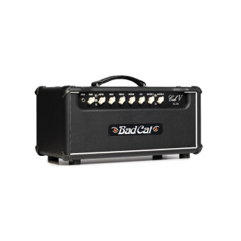 Bad Cat Cub V EL34 Head Фото 4