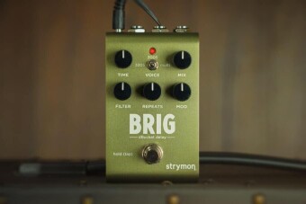 Strymon Brigadier dBucket Delay Фото 6