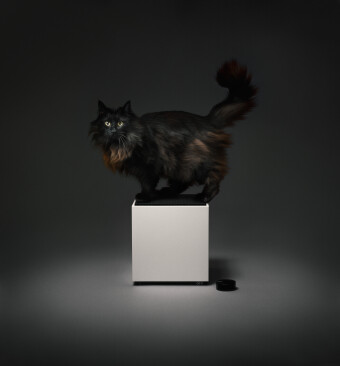 Teenage Engineering OD-11 white Фото 2