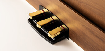 Korg Poetry Magnifique Фото 3