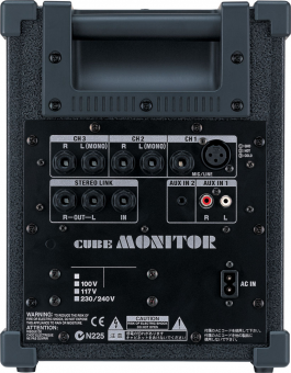 Roland CUBE-MONITOR Фото 2